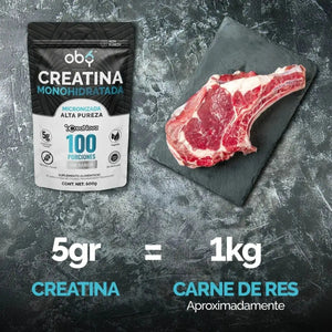 Creatina Monohidratada Micronizada Pura Polvo 500g oby.mx