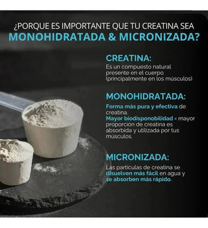 Oby Creatina Monohidratada Micronizada Pura Polvo 500g oby.mx