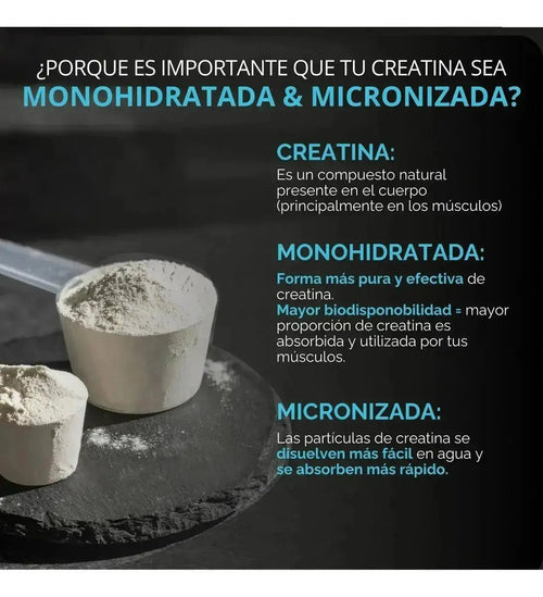 Oby Creatina Monohidratada Micronizada Pura Polvo 500g oby.mx