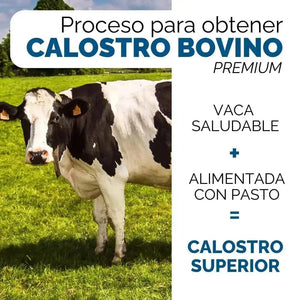 OBY Calostro Bovino | Suplemento Alimenticio con Colágeno Marino | 120 Cápsulas $̶8̶7̶9̶.̶0̶0̶ oby.mx