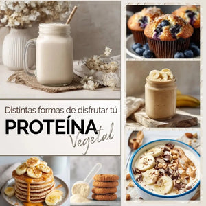 Proteina Complex Vainilla Mexicana | 7 Fuentes vegetales + Probioticos + Enzimas | Alta Absorción y Digestión Ligera Sin Lácteos | Polvo Vegana oby.mx