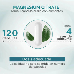 Citrato de Magnesio | Alta Absorción y Pureza | OBY Magnesium Citrate 120 capsulas 630 mg oby.mx