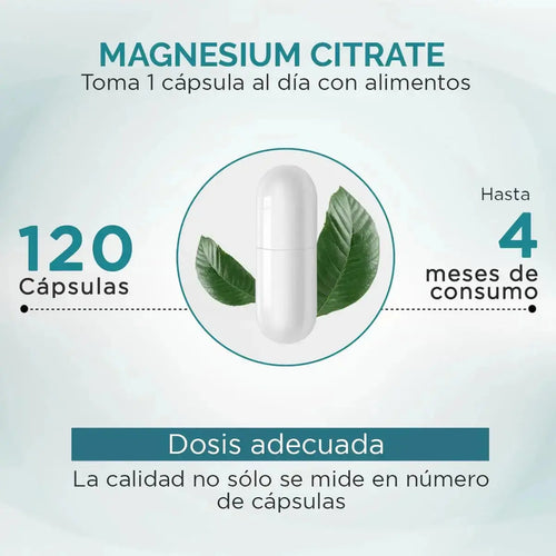 Citrato de Magnesio | Alta Absorción y Pureza | OBY Magnesium Citrate 120 capsulas 630 mg oby.mx