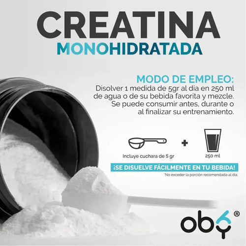 Creatina Monohidratada Micronizada de Alta Pureza. Polvo 500 g, 100 Servicios 5 gr | Sin Sabor | OBY Creatina Pre workout oby.mx