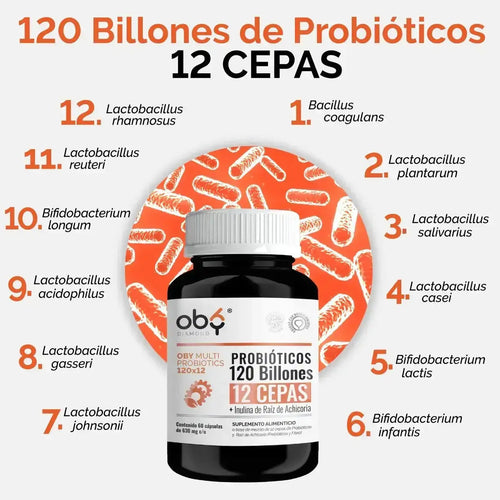 Oby MULTI Probioticos 120 Billones 12 Cepas Diferentes + Prebioticos inulina raiz achicoria + Fibra oby.mx