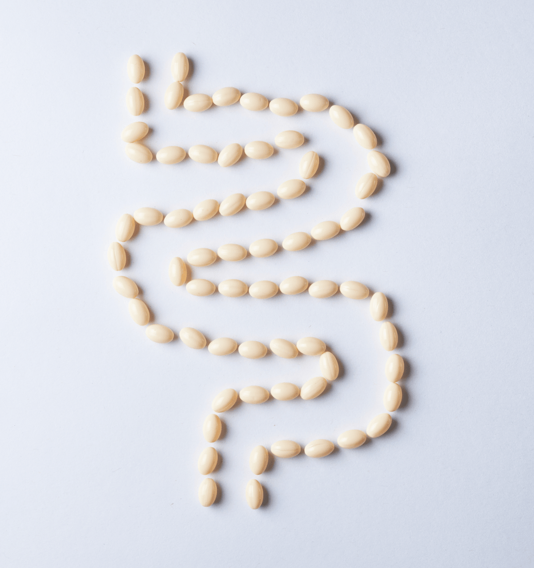 ¿Qué son las enzimas digestivas y cómo pueden ayudarte a mejorar tu digestión?