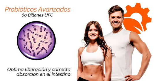 Probióticos y prebióticos