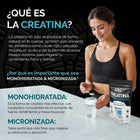 Creatina Monohidratada Micronizada Pura Polvo 500g oby.mx