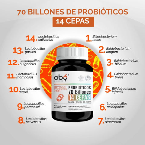 OBY Multi Probioticos 70 Billones de 14 Cepas + Prebioticos Inulina de Agave + Sabila | 30 cápsulas oby.mx