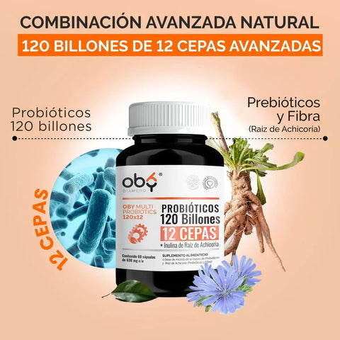 Oby MULTI Probioticos Avanzados 120 Billones 12 Cepas, Prebioticos y Fibra | 120 Cápsulas oby.mx