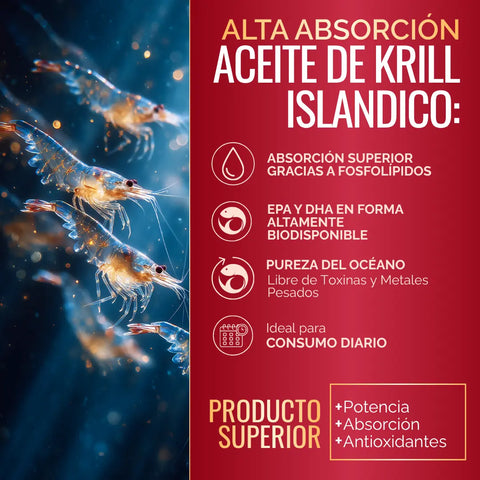 Aceite de Krill Ultra Puro con Astaxantina | Omega 3 EPA y DHA + Fosfolipidos | Sin Sabor y Sin Olor | 60 Softgels oby.mx