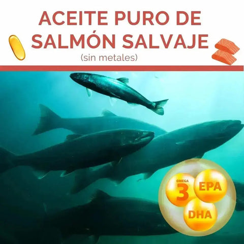 OBY Omega 3: Aceite Puro de Salmón Salvaje oby.mx