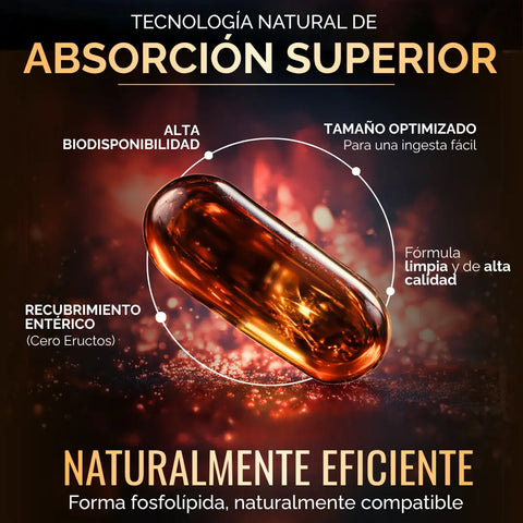 Aceite de Krill Ultra Puro con Astaxantina | Omega 3 EPA y DHA + Fosfolipidos | Sin Sabor y Sin Olor | 60 Softgels oby.mx
