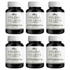 Pack de 6 frascos: OBY Melena de Leon con Vitamina C