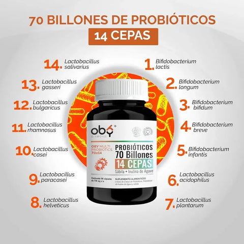 Probioticos 70 Billones de 14 Cepas + Prebioticos Inulina de Agave + Sabila | 30 cápsulas oby.mx