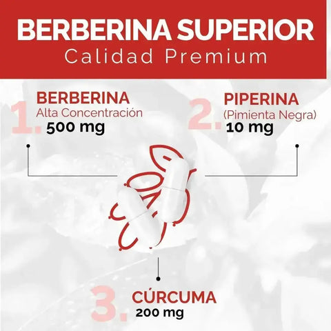 OBY Berberina Pura con Cúrcuma y Pimienta Negra | 60 cápsulas oby.mx