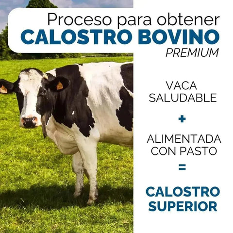 OBY Calostro Bovino | Suplemento Alimenticio con Colágeno Marino | 120 Cápsulas $̶8̶7̶9̶.̶0̶0̶ oby.mx
