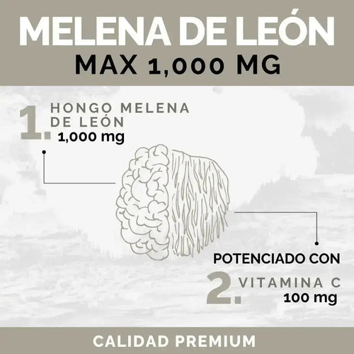 OBY Melena de Leon con Vitamina C | 120 Cápsulas oby.mx