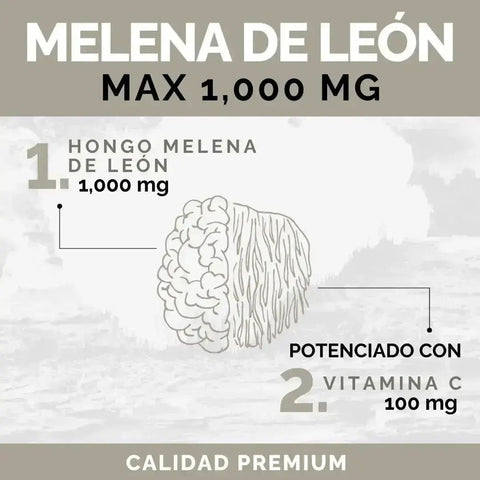 OBY Melena de Leon con Vitamina C | 120 Cápsulas $̶4̶9̶9̶.̶0̶0̶ oby.mx
