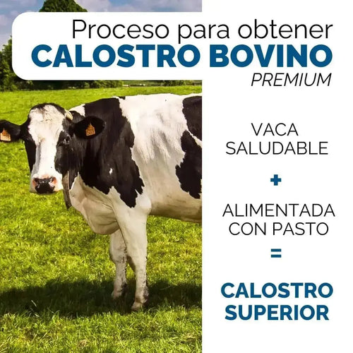 OBY Calostro Bovino en Polvo | 3,000 mg de Calostro por porción oby.mx