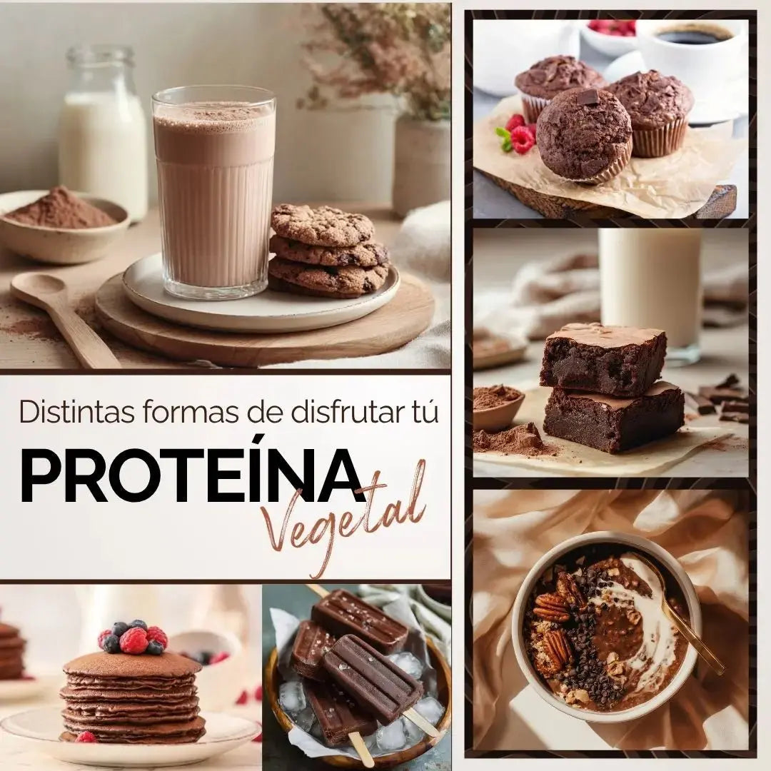 Proteina Complex Chocolate Artesanal | 7 Fuentes vegetales + Probioticos + Enzimas | Alta Absorción y Digestión Ligera Sin Lácteos | Polvo Vegana oby.mx