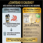Proteina Complex Vainilla Mexicana | 7 Fuentes vegetales + Probioticos + Enzimas | Alta Absorción y Digestión Ligera Sin Lácteos | Polvo Vegana oby.mx