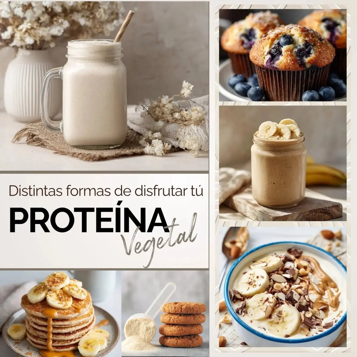 Proteina Complex Vainilla Mexicana | 7 Fuentes vegetales + Probioticos + Enzimas | Alta Absorción y Digestión Ligera Sin Lácteos | Polvo Vegana oby.mx
