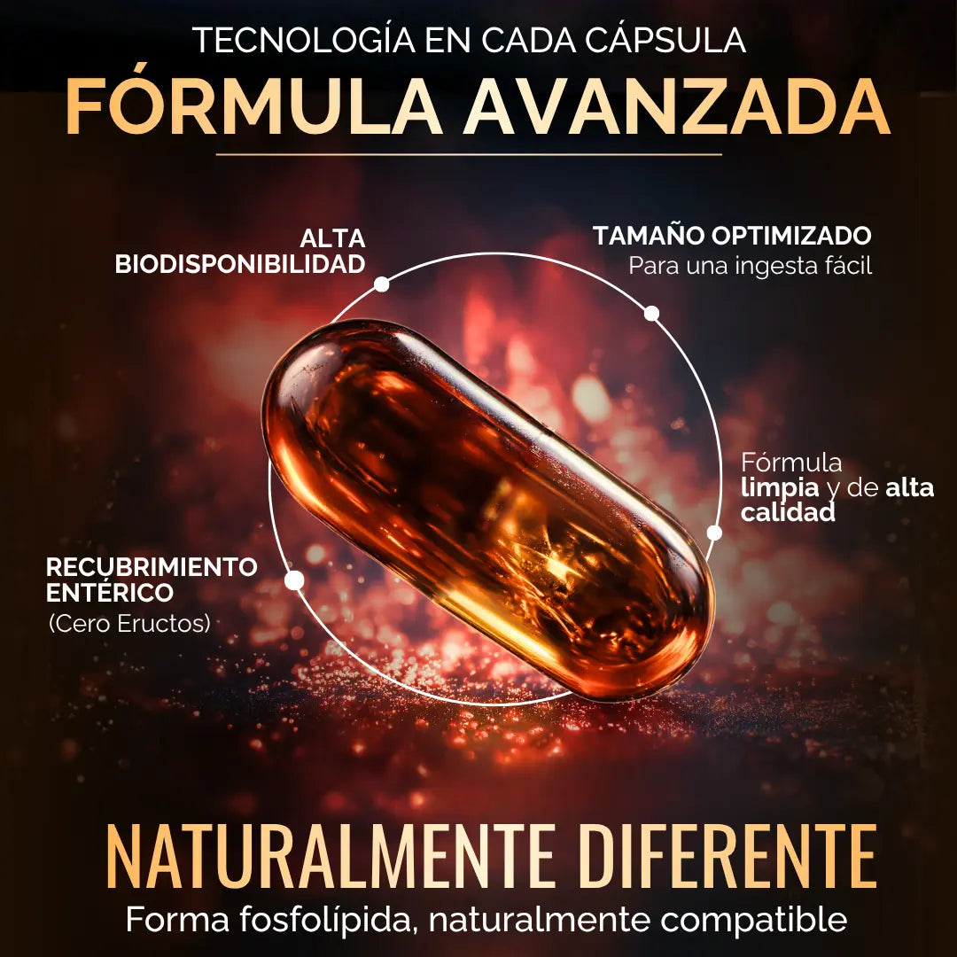 Aceite de Krill con Astaxantina y Fosfolípidos 60 cápsulas oby.mx