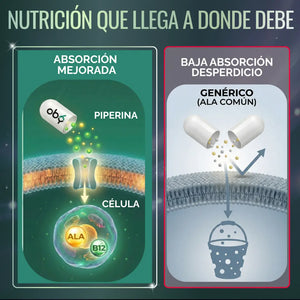 Ácido Alfa Lipoico 60 cápsulas oby.mx