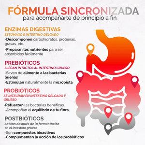 *Enzimas Digestivas con Prebióticos, Probióticos y Postbióticos (60 cápsulas) oby.mx