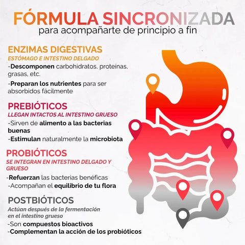 *Enzimas Digestivas con Prebióticos, Probióticos y Postbióticos (60 cápsulas) oby.mx