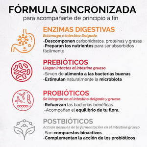 *Enzimas Digestivas con Prebióticos, Probióticos y Postbióticos (60 cápsulas) oby.mx