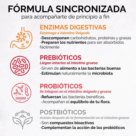 *Enzimas Digestivas con Prebióticos, Probióticos y Postbióticos (60 cápsulas) oby.mx