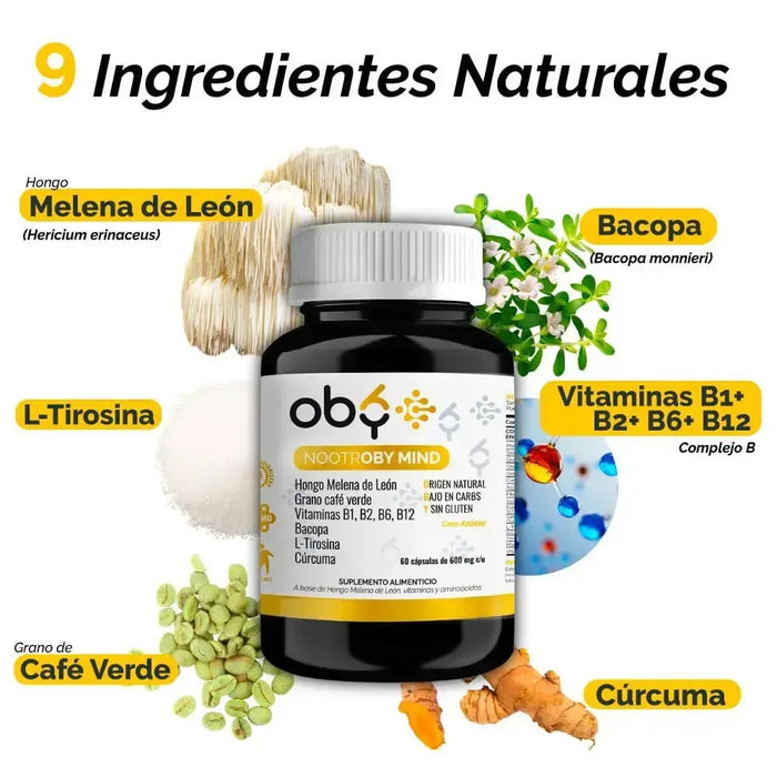 Pack Nootrópicos, Melena de Leon, Bacopa, L-Tirosina, Cúrcuma y Vitamina B12, B1, B2, B6 | OBY Nootroby Mind oby.mx