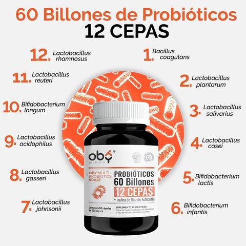 Oby MULTI Probioticos 60 Billones 12 Cepas Diferentes + Prebioticos inulina raiz achicoria + Fibra