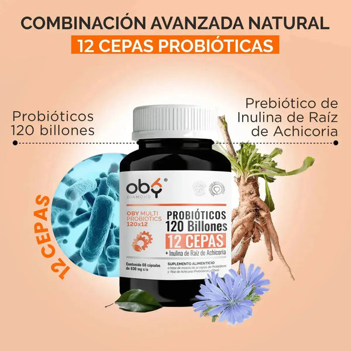 Oby MULTI Probioticos 120 Billones 12 Cepas Diferentes + Prebioticos inulina raiz achicoria + Fibra oby.mx